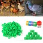 100X 16MM 001-100 Numbered Plastic Poultry Chickens Ducks Goose Leg Bands Rings