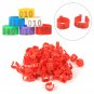 100X 16MM 001-100 Numbered Plastic Poultry Chickens Ducks Goose Leg Bands Rings