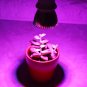 1/5/10X E27 28W Full Spectrum LED Light Growing Lamp Bulb For Flower Seed Plant