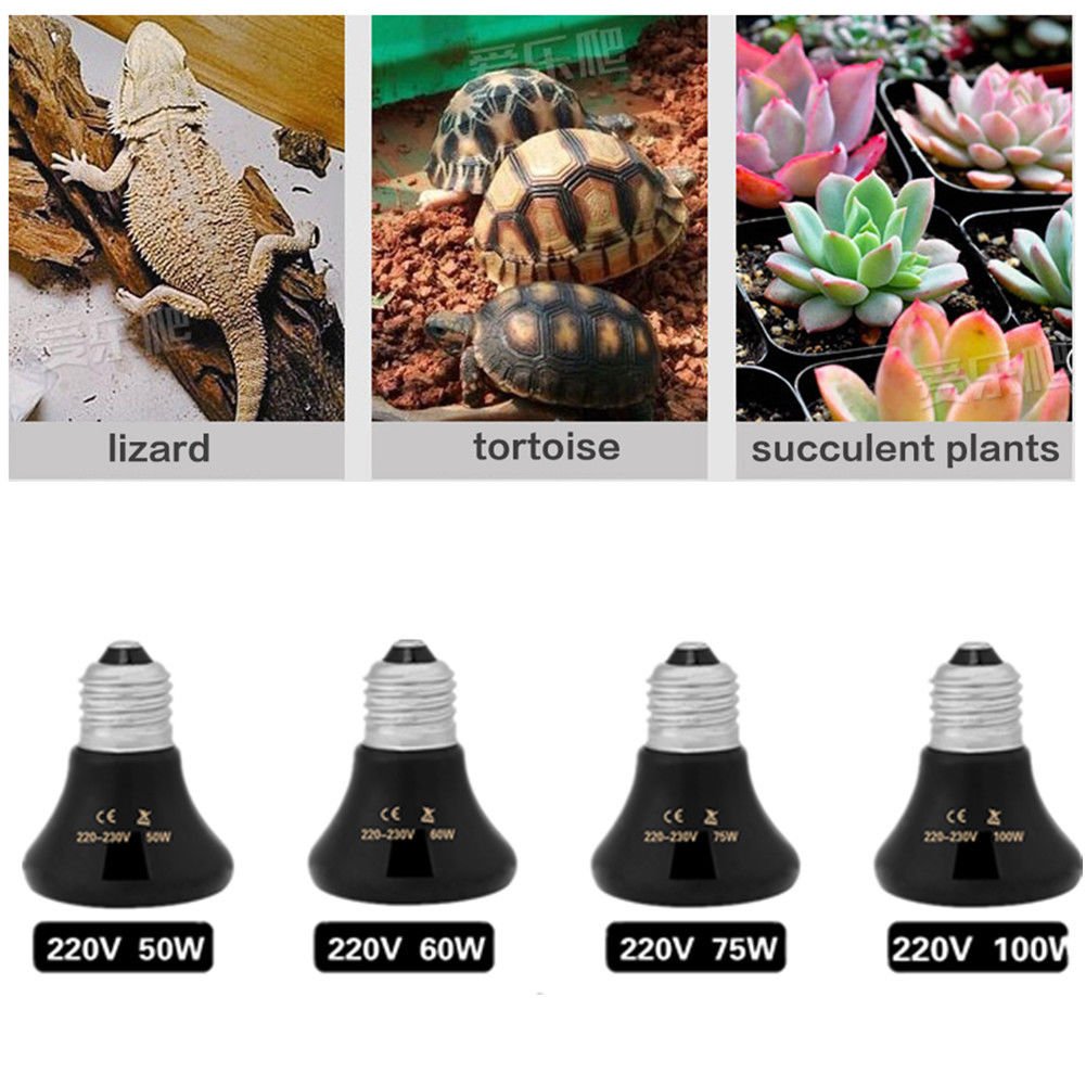 50-100W Infrared Ceramic Emitter Pet Heat Lamp Reptile Brooder Light Bulb 220V