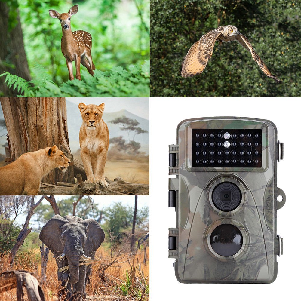 Digital Infrared Trail Hunting 5MP 720P HD Scouting Wildlife Night Vision Camera