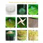 Intelligent Bean Sprouts Machine Hydrocirculating Sprout Automatic Bean Seeds