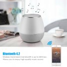 Wireless Bluetooth 4.2 Speaker USB Rechargeable Stereo Super Bass Music Player