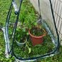 Garden Plants Flowers Veg Hydroponic Grow Cover Tent Waterproof PVC Greenhouse