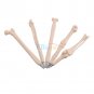 5pcs Novelty Ball point Creative Pen Bone Nurse Doctor Student Stationery Gift