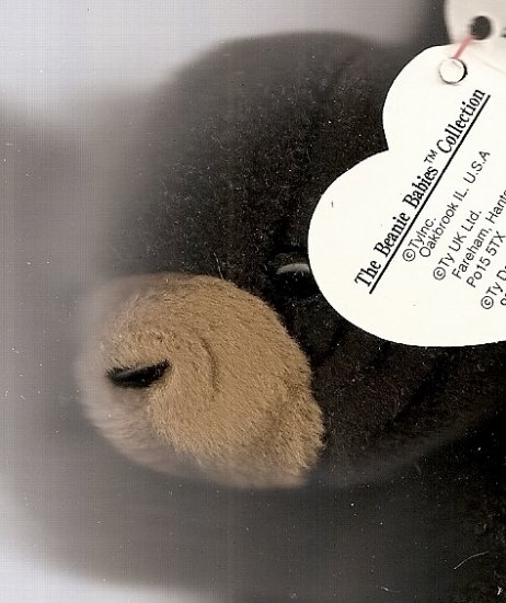 Black Bear Beany Baby, mint condition "Blackie"