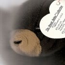 Black Bear Beany Baby, mint condition "Blackie"