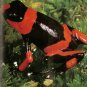 Venomous Animals, R. Burton, Slithering photography!