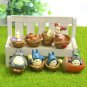 Walnut Mei Fairy Dust Action Figure Toys Totoro