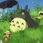 50cm Cute Totoro Large Pillow Cushions Cartoon Doll Stuffed Totoro Lotus Leaf +