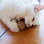 Funny Cat Mint Ball Toy Catnip Ball Pets Toy Cat Balls Cat Playing Toys