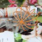 Fun Toys False Mouse in Rat Cage Ball For Pet Cat Kitten Play Toy Mouse Best Gift