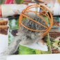 Fun Toys False Mouse in Rat Cage Ball For Pet Cat Kitten Play Toy Mouse Best Gift