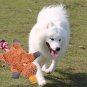 Pet Dog Toy Soft Plush Cute Papa Duck Puppy Cat Chewing Squeaker Toy (Orange)
