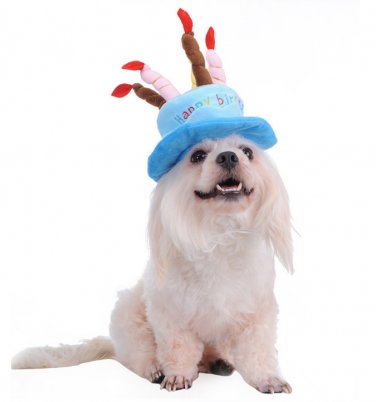 Dog Birthday Hat With Cake & Candles Design Pets Puppy Cap Cute Party Costume (Blue)