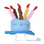 Dog Birthday Hat With Cake & Candles Design Pets Puppy Cap Cute Party Costume (Blue)