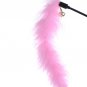 Randomly color Turkey Feather Wand Stick For Cat Catcher Teaser Toy For Pet