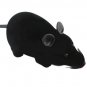 Fun Pet Cat Toys Remote Control Rat Mouse Toy for Cat Dog Pet Novety Gift (Black)