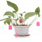 100Pcs Reusable PVC T-type Garden Plant Labels Waterproof Nursery Flower Tag Marker (Pink)