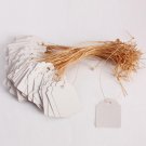 60pcs Plants Hang Tag Labels And Brands Seedling Garden Flower Pot Plastic Tag (White)
