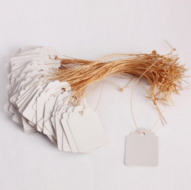 60pcs Plants Hang Tag Labels And Brands Seedling Garden Flower Pot Plastic Tag (White)