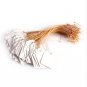 60pcs Plants Hang Tag Labels And Brands Seedling Garden Flower Pot Plastic Tag (White)