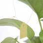 60pcs Plants Hang Tag Labels And Brands Seedling Garden Flower Pot Plastic Tag (Yellow)