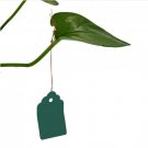 60pcs Plants Hang Tag Labels And Brands Seedling Garden Flower Pot Plastic Tag (Green)