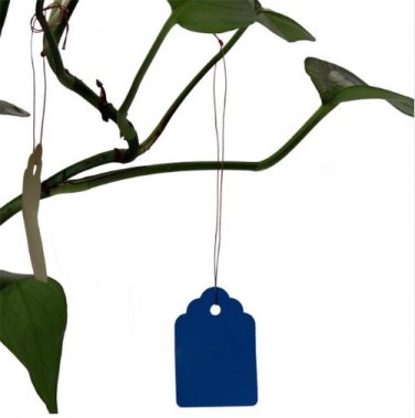 60pcs Plants Hang Tag Labels And Brands Seedling Garden Flower Pot Plastic Tag (Blue)
