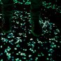 100pcs/bag Luminous Pebbles Stones Glow In The Dark Garden Ornaments (Purple)