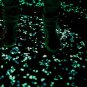 100pcs/bag Luminous Pebbles Stones Glow In The Dark Garden Ornaments (White)