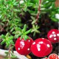 10X Mini Red Mushroom Micro Fairy Garden Decor Ornament Bonsai DIY Craft Fashion