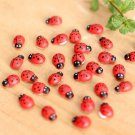 50 Pcs/Lot Stylish Mini Ladybug Decoration Lovely Beatles Micro Landscape Gardening