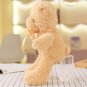 30CM Ribbon Teddy Bear Plush Stuffed Toys, Mini Teddy Bear Plush Doll