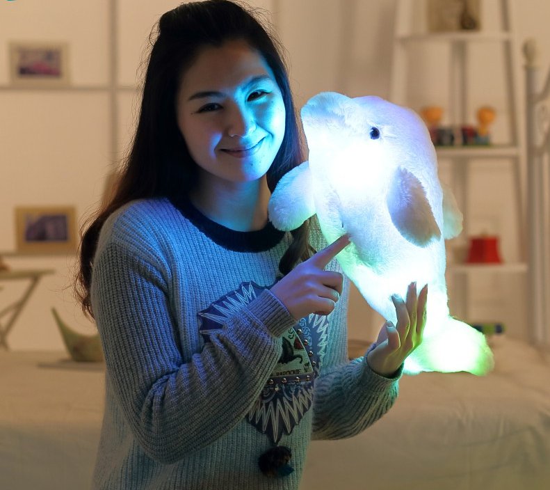 light up dolphin plush