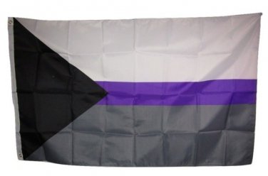 Demisexual Demi Sexual Human Rights College Nylon Indoor Outdoor Flag 3' x 5' Custom Flag