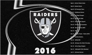 3x5ft Oakland Raiders Flag Polyester Banner 90x150cm white sleeve RAIDER NATION (STD)