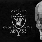 3x5ft Oakland Raiders Flag Polyester Banner 90x150cm white sleeve RAIDER NATION (STG)