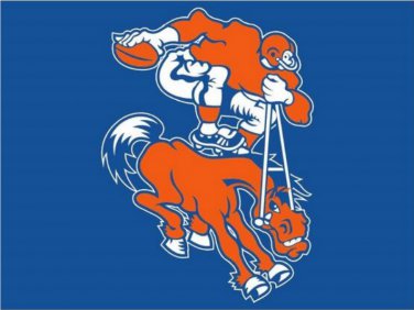Denver Broncos Old Logo nation Flag 3ft x 5ft Polyester NFL Team Banner (STF)