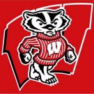 Wisconsin Badgers flag with us stars stripes 3ftx5ft Banner 100D Polyester Flag (STC)