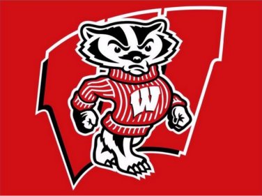 Wisconsin Badgers flag with us stars stripes 3ftx5ft Banner 100D Polyester Flag (STC)