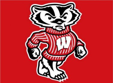 Wisconsin Badgers flag with us stars stripes 3ftx5ft Banner 100D Polyester Flag (STD)