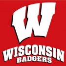 Wisconsin Badgers flag with us stars stripes 3ftx5ft Banner 100D Polyester Flag (STF)