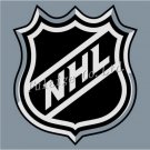 NHL Logo flag 3ftx5ft Banner 100D Polyester Flag 90x150cm (STB)