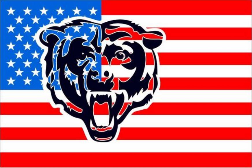 polo bear american flag