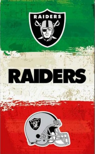 Raiders flags 3x5ft oil painting style flag with 2 Metal Grommets (STB)