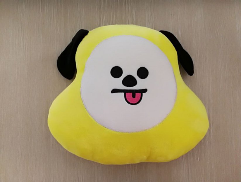 bts cartoon pillow