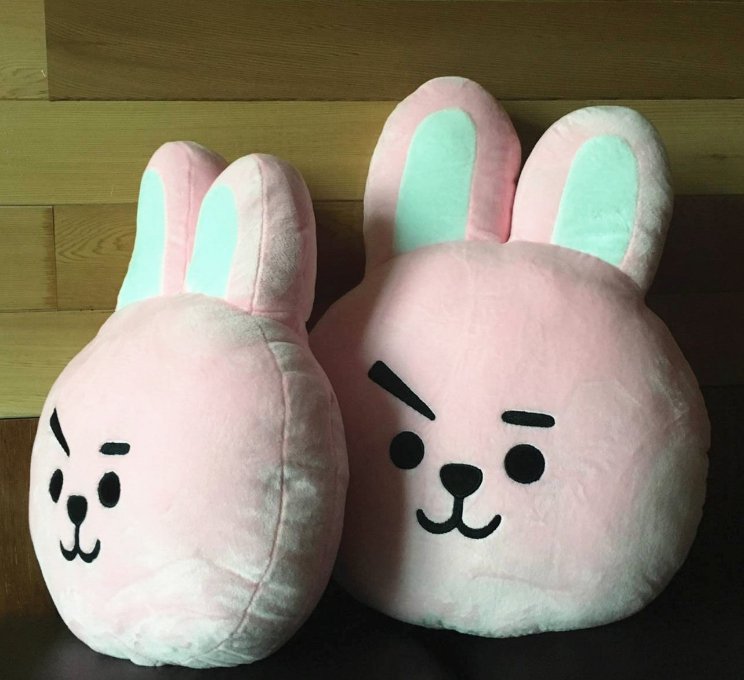 bts cartoon pillow