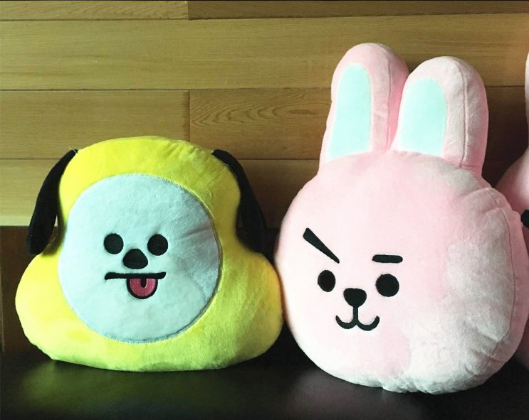 bts cartoon pillow