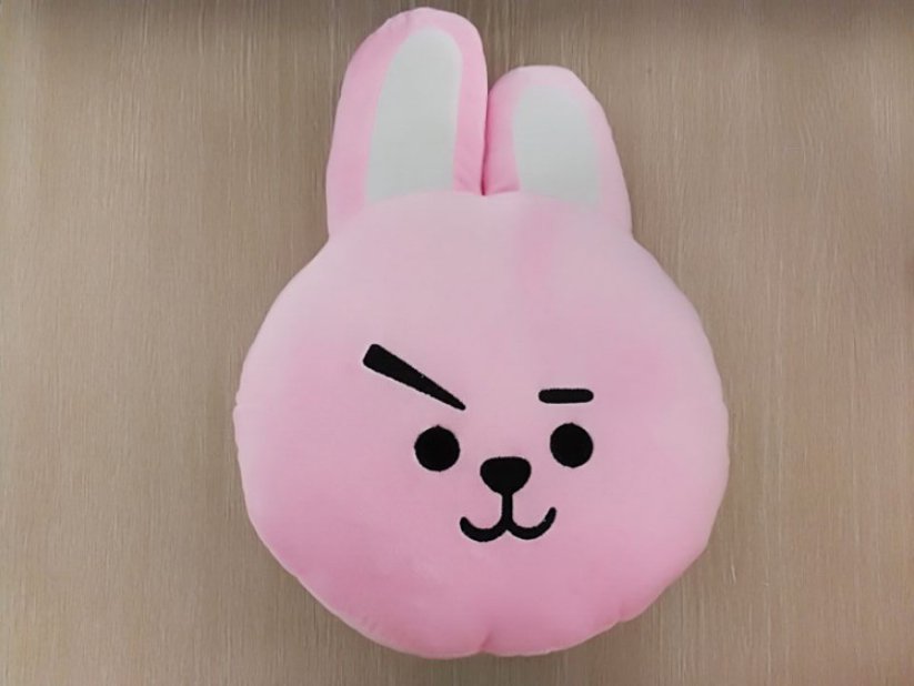 bt21 characters pillow